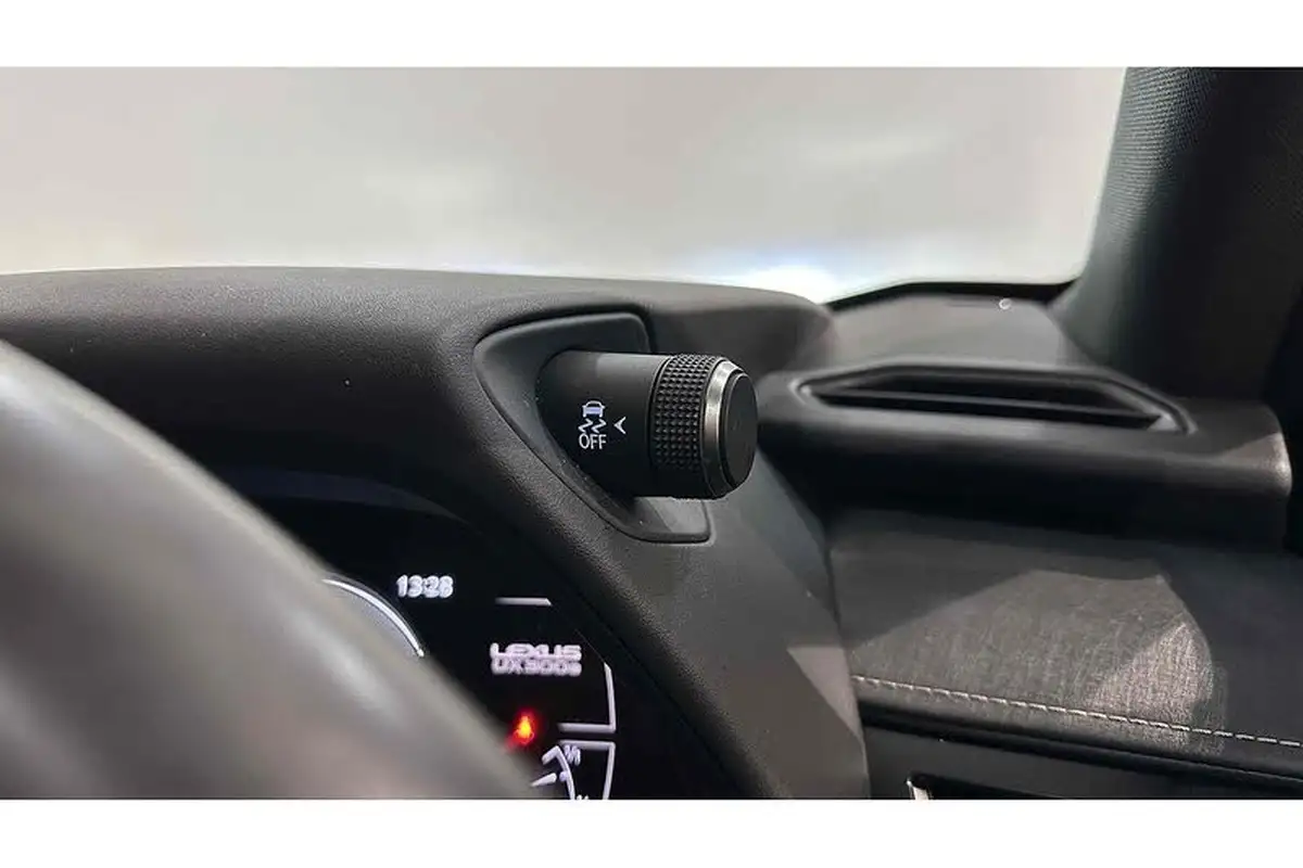 2021-lexus-ux-300e-e-ux-big-45