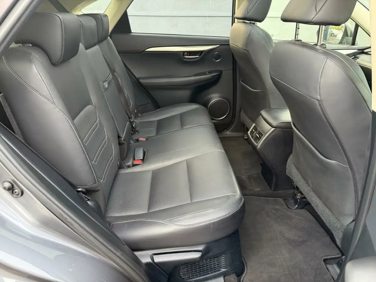 2018-lexus-nx-300h-25-luxury-big-30