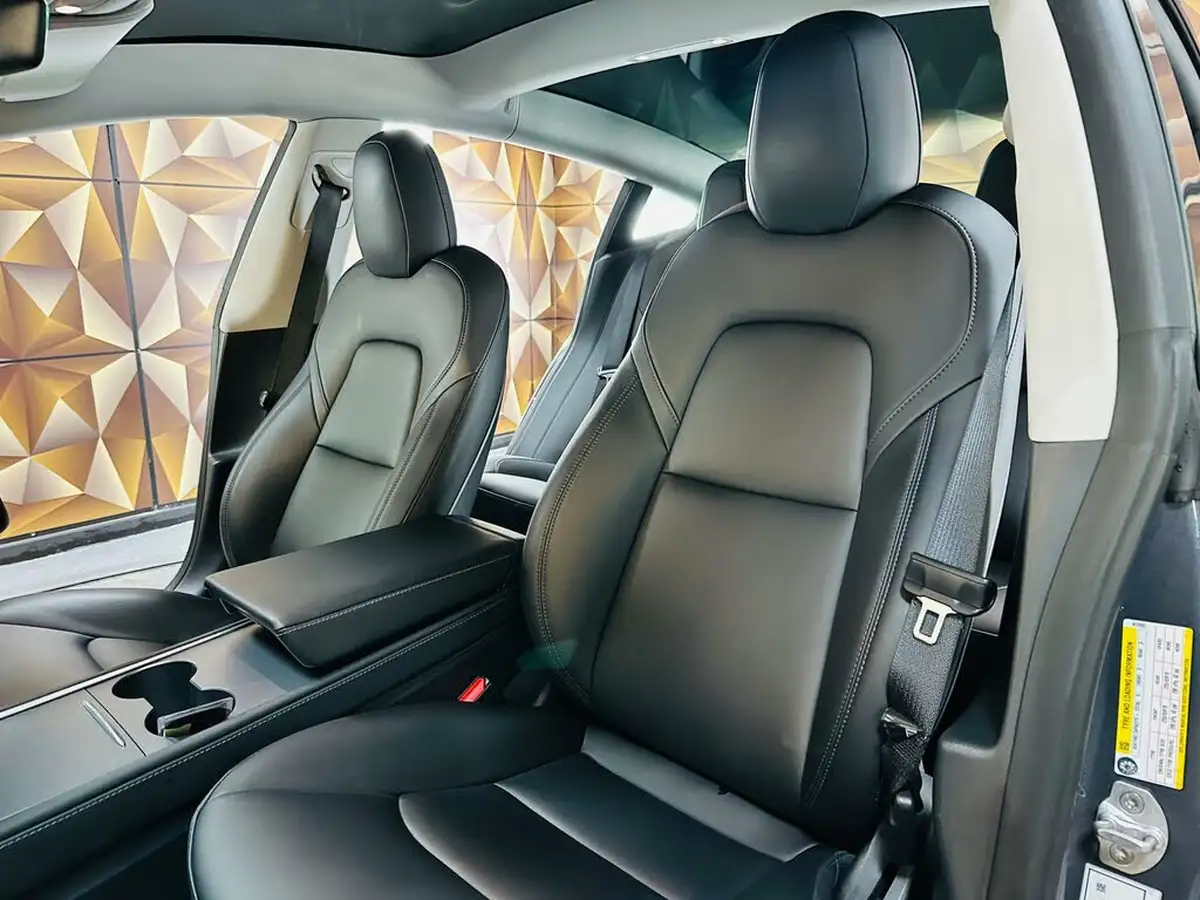 2021-tesla-model-3-e-long-range-awd-big-13