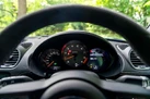 2020-porsche-cayman-718-40-cayman-gt4-small-13