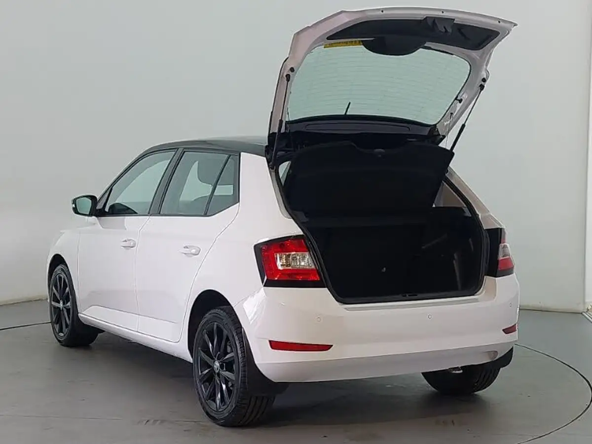 2020-skoda-fabia-10-mpi-colour-edition-60ps-big-7