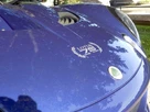 2001-lotus-elise-18-small-30
