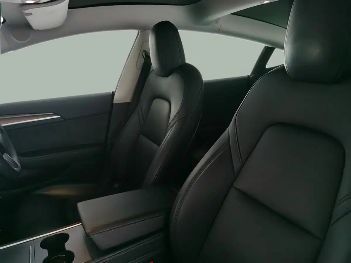 2021-tesla-model-3-e-standard-plus-big-8