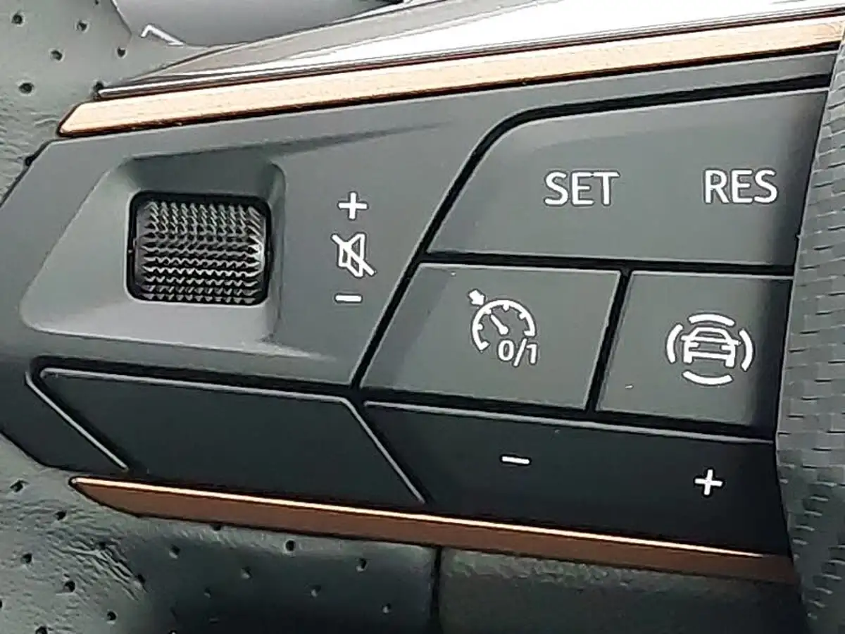 2024-cupra-ateca-15-ecotsi-v2-big-13