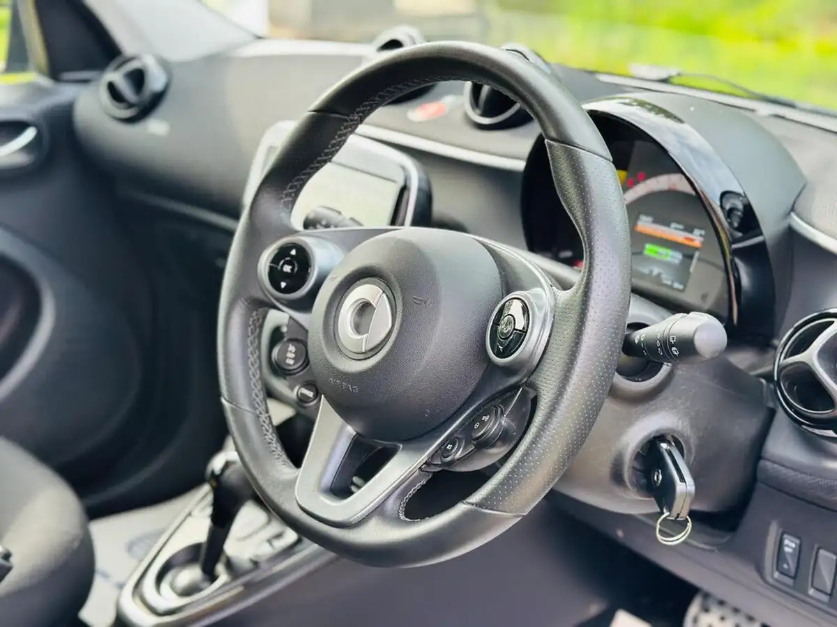 2020-smart-forfour-eq-pulse-premium-big-8