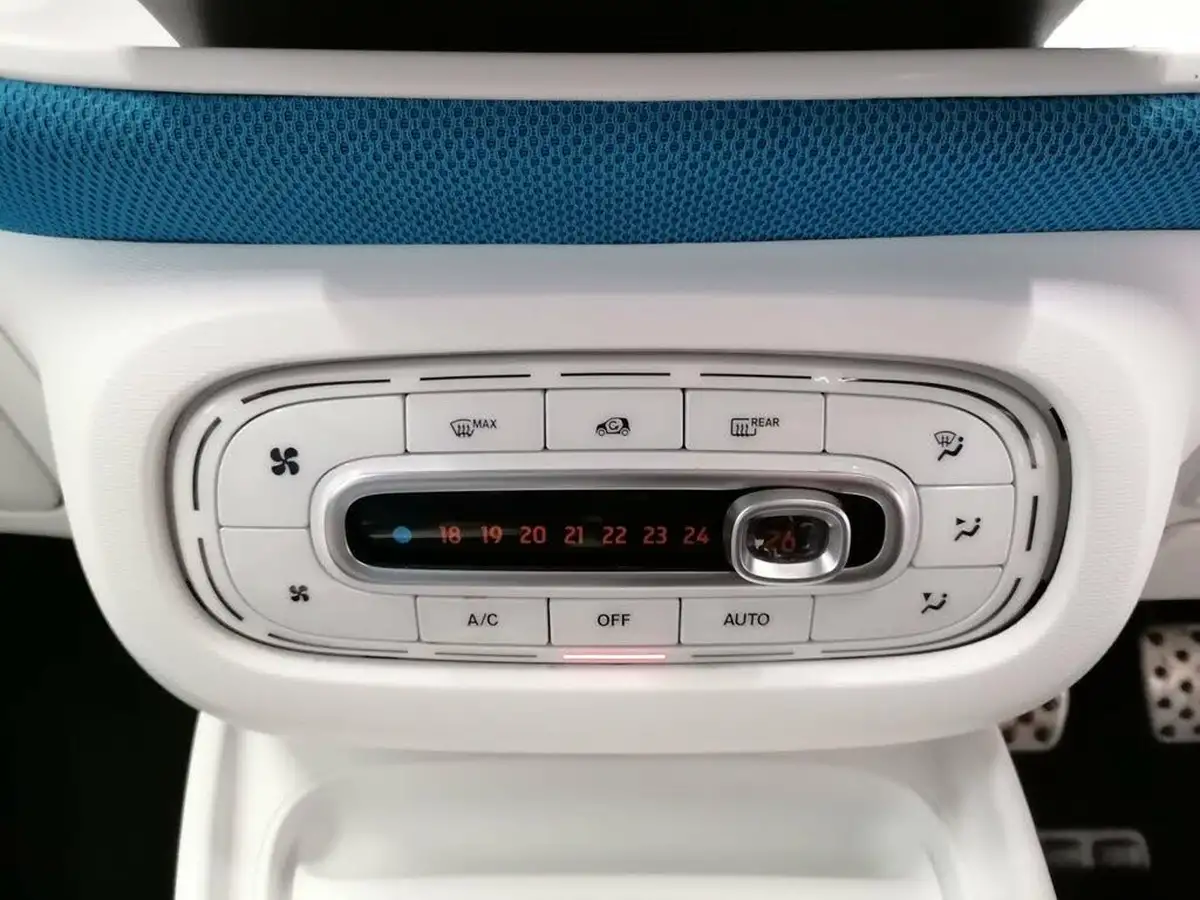 2016-smart-forfour-09-proxy-ss-big-17