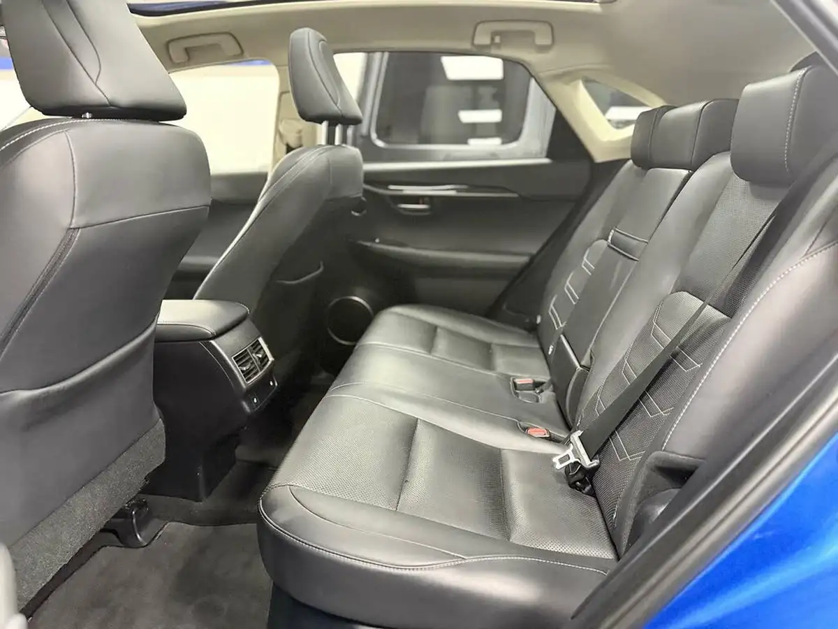 2019-lexus-nx-300h-25-takumi-big-29