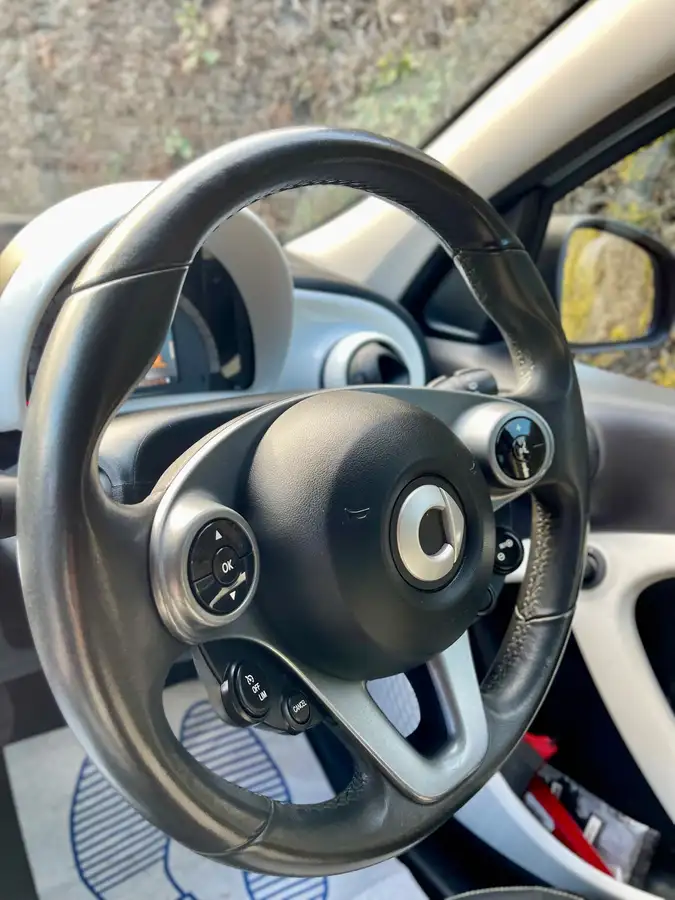 2015-smart-forfour-10-passion-ss-big-14