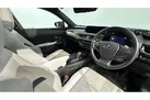 2021-lexus-ux-300e-e-ux-small-26