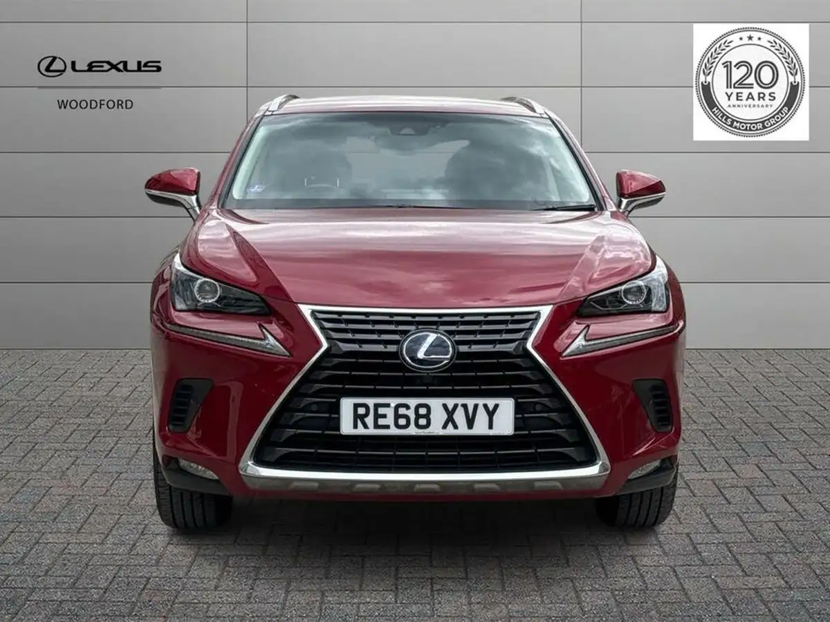 2019-lexus-nx-300h-25-luxury-big-7