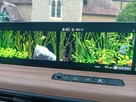 2021-honda-honda-e-e-advance-16in-small-26