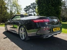 2018-mercedes-benz-e-class-20d-e220d-amg-line-premium-plusss-cabriolet-2d-small-32