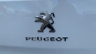 2024-peugeot-expert-20-bluehdi-professional-premium-long-1400-small-25