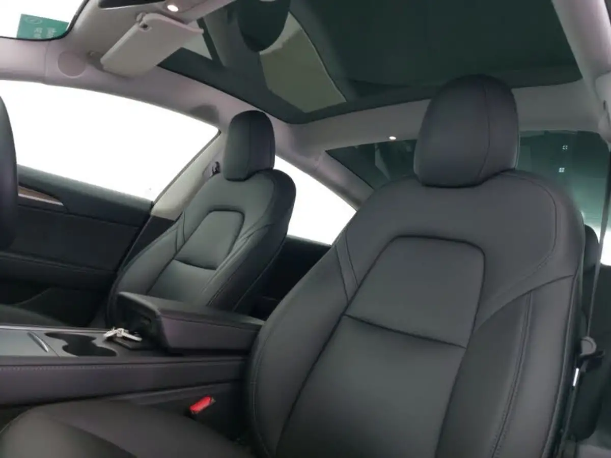 2021-tesla-model-3-e-long-range-4x4-big-11