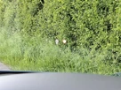 2021-porsche-taycan-e-4-cross-turismo-small-18