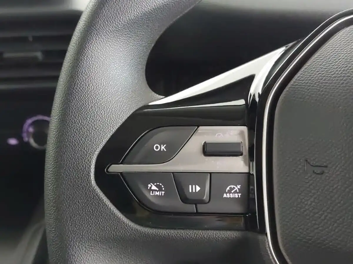 2024-peugeot-partner-15-bluehdi-professional-100pseu6d-big-15