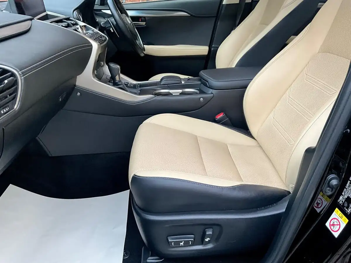 2018-lexus-nx-300h-25-luxury-big-13