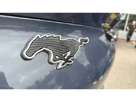 2021-ford-mustang-mach-e-e-extended-range-351ps-88kwh-awd-small-28